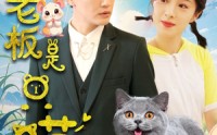 【我的老板是只喵】86集短剧全集在线观看，无需付费