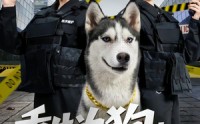 【重生为狗屡破大案震惊全网】80集热门短剧在线赏看