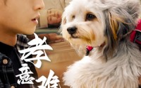 【孝意难偿】32集短剧全集在线，随时随地随心看