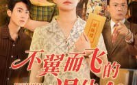 【不翼而飞的退休金】63集免费短剧流畅播放
