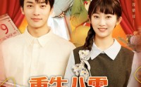【重生八零，假少爷入赘下乡】72集短剧全集免费流畅体验