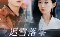 【迟雪落不进掌心】79集免费短剧全集网盘看
