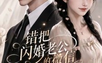 【错把闪婚老公的微信当成AI网恋第二季】84集短剧在线免费看全集