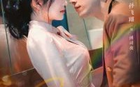 【闪婚老公竟是我上司】100集短剧全集在线，免费畅享剧情