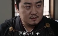 【燕归定京华】70集短剧在线看全集无卡顿