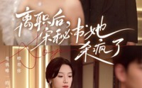 【离职后，宋秘书她杀疯了】71集全集短剧免费追剧神器
