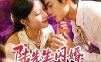 【陆先生闪婚请多指教】53集短剧在线免费追看
