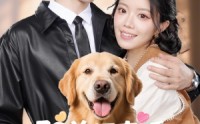【驭兽师直播听动物心声吃瓜破案】73集完整版短剧在线观看不卡顿