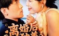 【离婚后独美夫人她飒爆全场】71集短剧免费在线全集观看