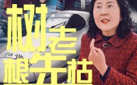 【树老根先枯】33集短剧完整版在线观看不卡顿