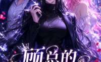 【顾总的退婚反击战】15集短剧在线完整播放