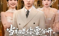 【当初是你要分开，看到遗产怎么哭了？】免费看70集短剧全集在线