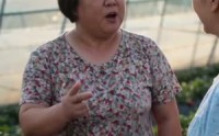 【桥塌了，全村慌了！】30集短剧免费全集在线观映