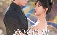 【高冷总裁的追妻攻略】65集极速在线观看，剧情不卡顿