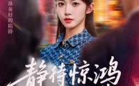 【静待惊鸿入翁慌】全集40集短剧流畅播放