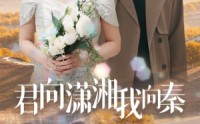 【君向潇湘我向秦】30集短剧全集在线，一键直达精彩剧情