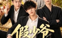 【假少爷回村了】57集短剧在线流畅播放