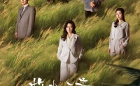 【故土无亲归途有风】31集短剧资源在线观看无广告