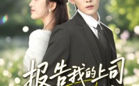 【报告我的上司有点甜】97集短剧，全集在线观看不收费