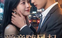 【爱意随风起，风止意难平】36集热门短剧在线观瞧