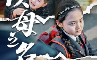 【新版：以母之名】35集短剧高清资源在线观看畅享版
