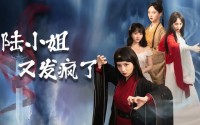 【陆小姐又发疯了】28集短剧资源在线观看超清版