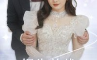 【报告总裁您找错夫人了】93集短剧免费高清在线观看网站