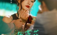 【黑莲花她不装了】77集全剧情短剧在线一次看过瘾