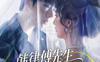 【韩律傅先生求你回家结婚】70集全集短剧，在线观看无广告