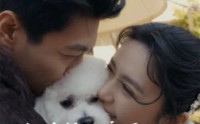 【和总裁互穿后先婚后爱】60集短剧全集在线观看，高清流畅不等待