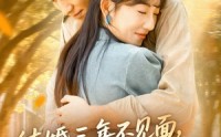【结婚三年不见面，冷面老公离婚吧】67集短剧免费在线播放看