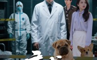 【病犬危机】68集高清短剧全集在线流畅观看