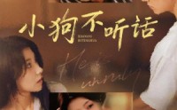 【小狗不听话】70集免费短剧在线全集尽情看
