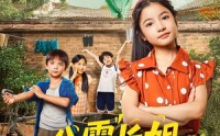 【八零长姐猛如虎】69集在线短剧免费畅看