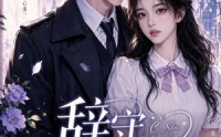 【辞守晚安】45集短剧免费在线精彩速看