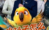 【我孙子怎么成鹦鹉了】71集免费短剧全集畅享观看