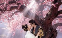 【误把女娇娥，错认同袍臣】28集短剧免费在线全集播