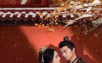 【梦向楼心灯火归】37集短剧全集在线观看无广告