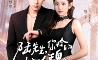 【陆先生，你捡的小玫瑰又掀桌了之荆棘玫瑰】68集免费短剧全集在线观