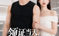 【领证当天，我嫁给了前男友】44集短剧免费高清观看