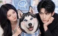【骗你是小狗】20集短剧完整版免费在线观看