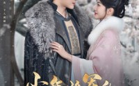 【少年将军的失忆小青梅】100集短剧，手机在线轻松观看