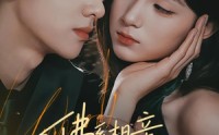 【佛系相亲，遇上较真搭档】91集短剧全集畅享在线观看