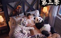【完了，这破农场来的全是祖宗！第三季】100集短剧免费完整观看