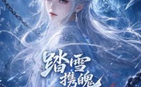 【踏雪携魄护苍生】73集热门短剧免费在线赏