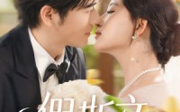 【假斯文】80集短剧免费在线一口气看完