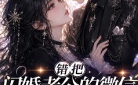 【错把闪婚老公的微信当成AI网恋第一季】192集短剧免费全集畅快看