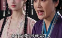 【休夫后，长公主的马甲藏不住了】36集短剧全集免费在线速看