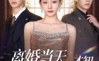 【离婚当天才知心机死对头暗恋我十年】90集短剧资源在线一站式观看