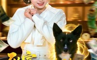 【致富：从捡到一只哮天犬开始】93集短剧免费在线赏看